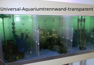 Aquarium-Universal-Trennwand -für- Aquarien Fische-Kampffische-Diskusfische u.a Bild 1