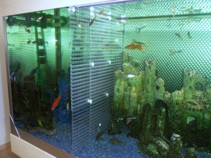 Aquarium-Universal-Trennwand -für- Aquarien Fische-Kampffische-Diskusfische u.a Bild 4