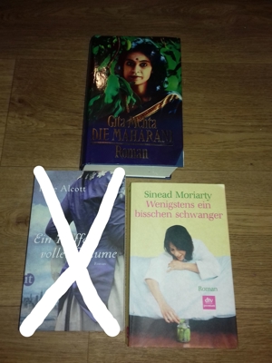 Gita Mehta-Die Maharani HC und Sinead Moriarty-Wenigstens ein bisschen schwanger TB