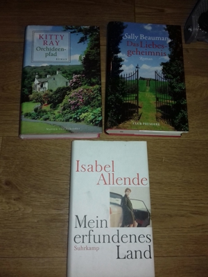 Kitty Ray- Sally Beauman-Isabel Allende