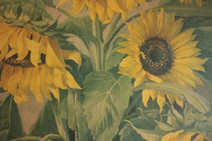 Sonnenblumenbild Bild 1