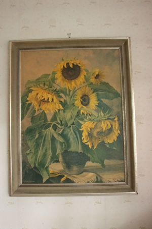 Sonnenblumenbild Bild 2