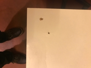 Regalboden Holznachbildung Fertigteil Weiß Bild 5