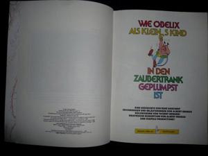 Asterix + Obelix (wie Obelix als kleines Kind in den Zaubertrank geplumpst ist) Bild 2