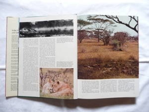 Wunderbare Welt der Tiere Bild 2