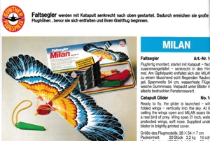 Milan- Flugmodell mit Katapult- Schleuderstart, Faltsegler Bild 7