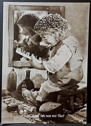 5 schöne, alte Mecki-Postkarten - toll für Sammler oder Liebhaber des kleinen Kerlchens Bild 7