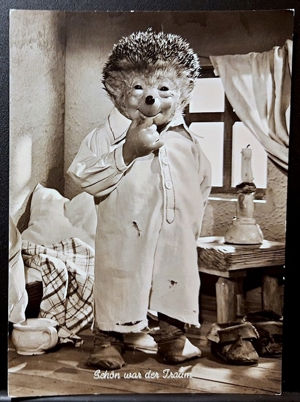 5 schöne, alte Mecki-Postkarten - toll für Sammler oder Liebhaber des kleinen Kerlchens Bild 6