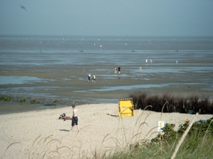 Ferienwohnung 241 Cuxhaven am Strand Bild 7
