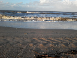 Ferienwohnung 241 Cuxhaven am Strand Bild 9