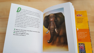 Kinderbuch - Leserabe 1000 Gefahren - unter Dinosauriern und auf dem Piratenschiftt Bild 3