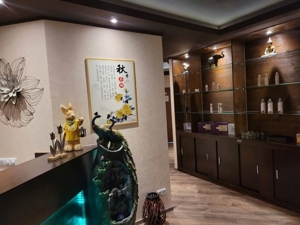 Lotus Asiamassage Essen - China Massage Bild 14