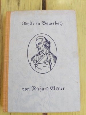 Buch: "Idylle in Bauerbach"