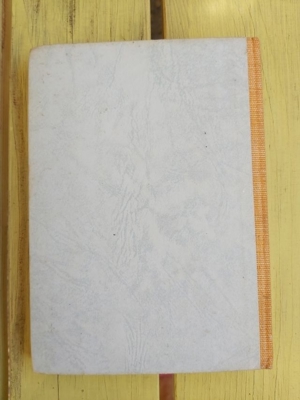 Buch: "Idylle in Bauerbach" Bild 3