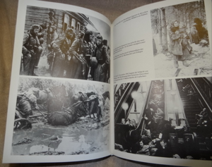 BA Der Zweite Weltkrieg in Text und Bild Hellmuth G. Dahms Herbig 5. Auflage 1999 EAN 9783776620801 Bild 9