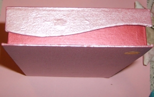 D Geschenkebox verschieden benutzbar Samteinlage Magnetverschluss15x10,5x2,5 Schachtel zum Aufbewahr