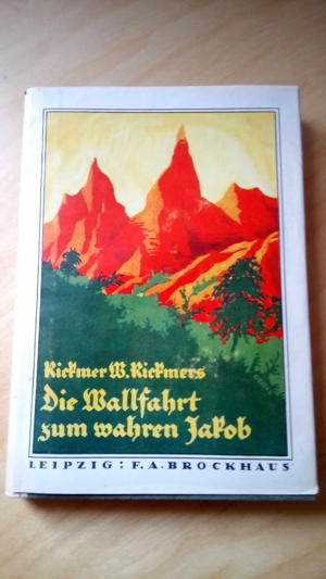 8 Bücher de Brockhaus (Leipzig) Serie Reisen und Abenteuer Bild 7