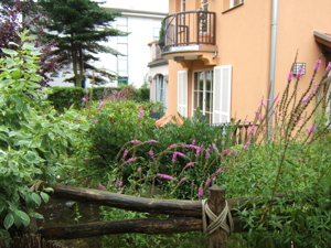 2-Zi-Ferienwohnung LAGUNA-Residenz im Ostseebad Kühlungsborn Bild 8