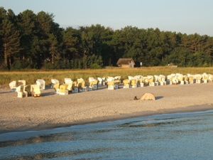 ZINGST: 3-Zi-Ferienwohnung DEICHIDYLL in unmittelbarer Strandlage Bild 18