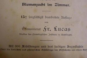 Christ-Lucas Gartenbuch (Rarität / 1908) Bild 3