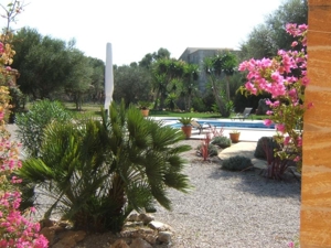 Finca-Urlaub auf Mallorca, nahe der Bucht von Aludia... Bild 11
