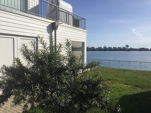 OstseeResort Olpenitz: 3-Zi-Ferienwohnung BRIGANTINE 33 Bild 13