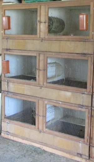 Meerschweinchen / Kaninchenstall - 6 Boxen (70x70 cm)