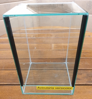 Vogelspinnen Terrarium für Baumbewohner B 20cm, H 30cm, T 20cm