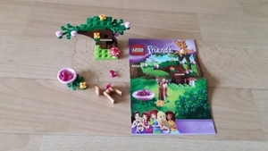 Lego Friends Sammlung Bild 4