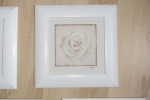 Bilder 4-er Set Holzrahmen weiß matt lackiert 25x25 cm Blumen- bzw. Blütenmotive Bild 3