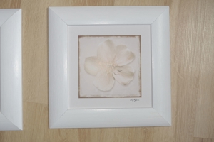 Bilder 4-er Set Holzrahmen weiß matt lackiert 25x25 cm Blumen- bzw. Blütenmotive Bild 5