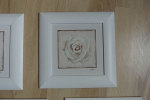 Bilder 4-er Set Holzrahmen weiß matt lackiert 25x25 cm Blumen- bzw. Blütenmotive Bild 7