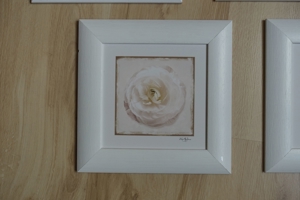 Bilder 4-er Set Holzrahmen weiß matt lackiert 25x25 cm Blumen- bzw. Blütenmotive Bild 8