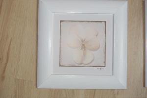 Bilder 4-er Set Holzrahmen weiß matt lackiert 25x25 cm Blumen- bzw. Blütenmotive Bild 2
