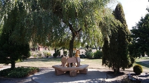 Baumbank. Gartenbank. Holzbank. Bild 7