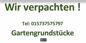 Wir vermieten Gartengrundstücke  Bild 2