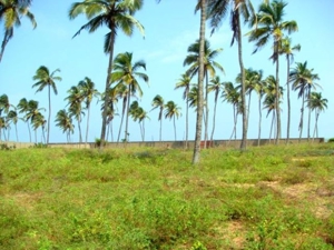 Cotonou (Benin)., ca. 4.500 qm Grundstück direkt am Meer + ca. 1500 qm Strandnutzung! Bild 5