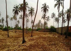 Cotonou (Benin)., ca. 4.500 qm Grundstück direkt am Meer + ca. 1500 qm Strandnutzung! Bild 9