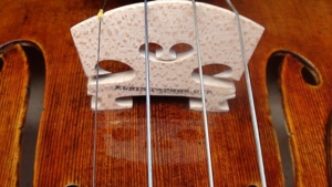 Geigenunterricht Violinunterricht im Raum Bonn Bild 1