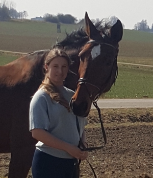 Reitunterricht auf erfahrener und gut ausgebildeter Warmblutstute - auch für Anfänger geeignet Bild 11