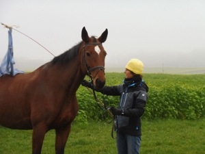 Reitunterricht auf erfahrener und gut ausgebildeter Warmblutstute - auch für Anfänger geeignet Bild 8