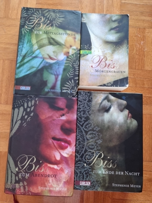 4 Biss Bücher Twilight