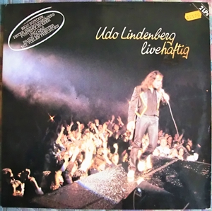 Langspielplatten, LP, 70er u. 80er Jahre Bild 11