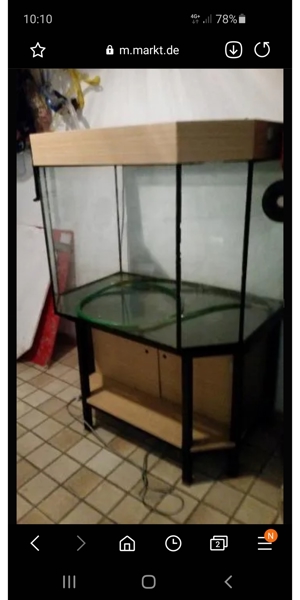 Aquarium ab zu geben 90x60x60