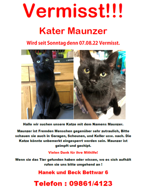 Vermisst!!! Kater Maunzer Wird seit Sonntag denn 07.08.22 Vermisst. Bild 1