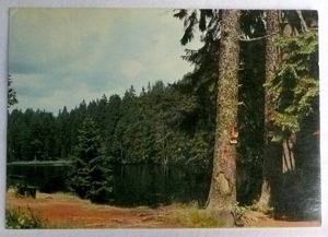 alte AK Braunlage im Oberharz- Motiv Silbersee