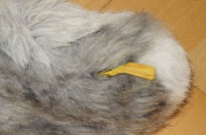 Steiff kleine weißgraue Ente mit Piepen beim Drücken Höhe ca 13 cm Bild 2