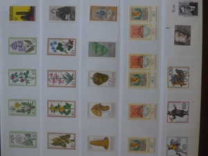 Über 500 Briefmarken BRD postfrisch Bild 18