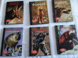 DVD Sammlung Natural Killer Tierdokus 21 Teile Bild 2