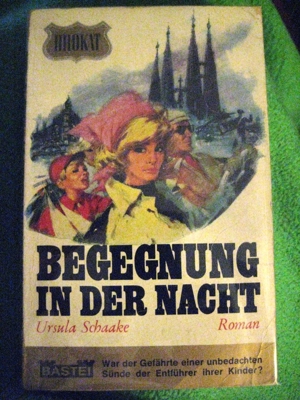 Spannender Roman Begegnung in der Nacht von Ursula Schaake in gutem Zustand, 171 Seiten, BASTEI Bild 1